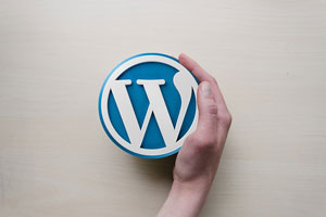 Common WordPress Mistakes You Should Avoid Them