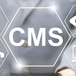 How to Pick The Right CMS for Your Business Website