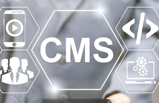 How to Pick The Right CMS for Your Business Website