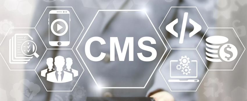 How to Pick The Right CMS for Your Business Website