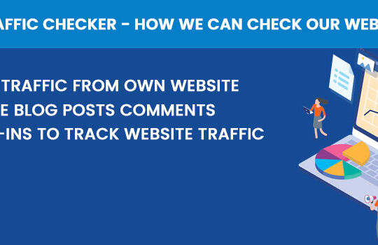 Website Traffic Checker – How we can check our website traffic